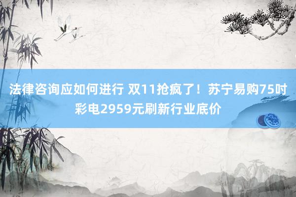 法律咨询应如何进行 双11抢疯了！苏宁易购75吋彩电2959元刷新行业底价