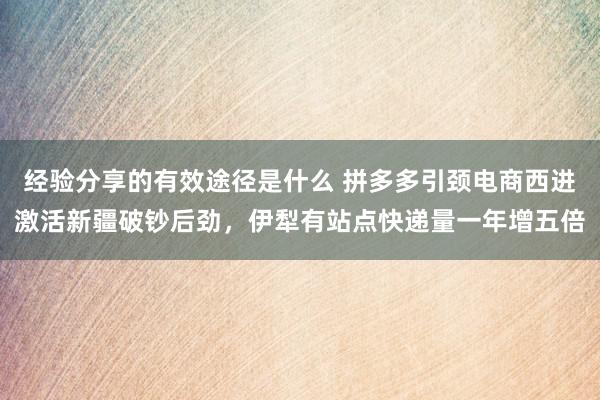 经验分享的有效途径是什么 拼多多引颈电商西进激活新疆破钞后劲，伊犁有站点快递量一年增五倍