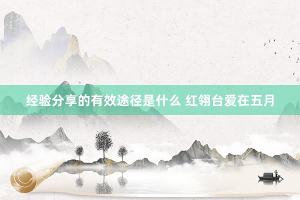 经验分享的有效途径是什么 红翎台爱在五月