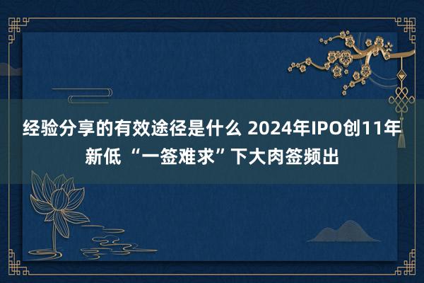 经验分享的有效途径是什么 2024年IPO创11年新低 “一签难求”下大肉签频出