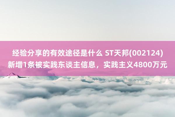 经验分享的有效途径是什么 ST天邦(002124)新增1条被实践东谈主信息，实践主义4800万元