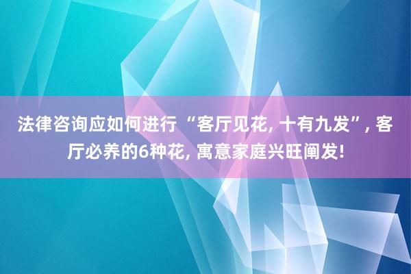 法律咨询应如何进行 “客厅见花, 十有九发”, 客厅必养的6种花, 寓意家庭兴旺阐发!