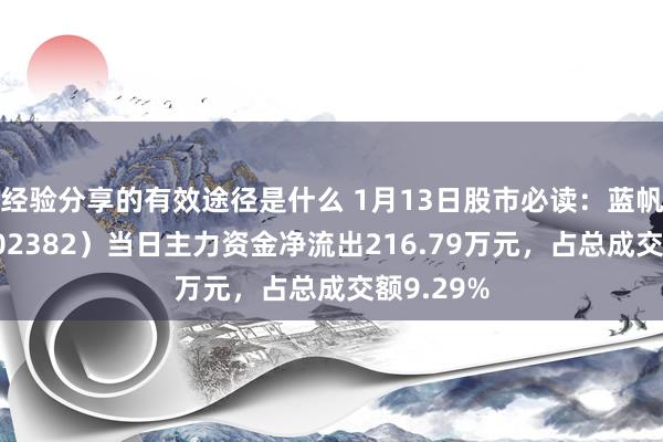 经验分享的有效途径是什么 1月13日股市必读：蓝帆医疗（002382）当日主力资金净流出216.79万元，占总成交额9.29%