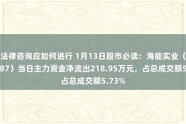 法律咨询应如何进行 1月13日股市必读：海能实业（300787）当日主力资金净流出218.95万元，占总成交额5.73%