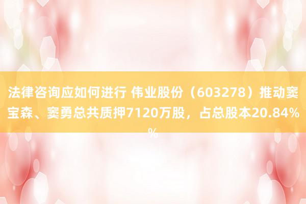 法律咨询应如何进行 伟业股份（603278）推动窦宝森、窦勇总共质押7120万股，占总股本20.84%