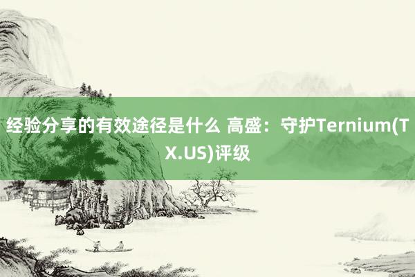 经验分享的有效途径是什么 高盛：守护Ternium(TX.US)评级