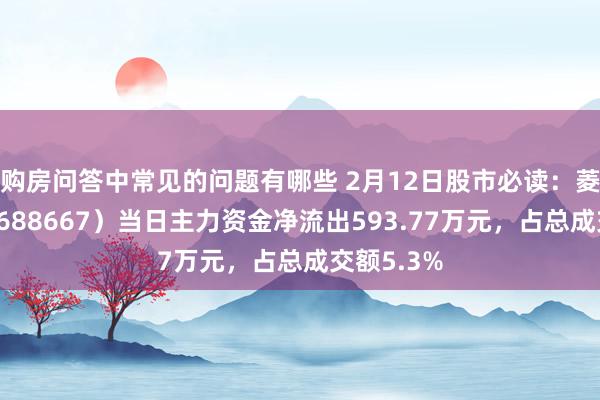 购房问答中常见的问题有哪些 2月12日股市必读：菱电电控（688667）当日主力资金净流出593.77万元，占总成交额5.3%