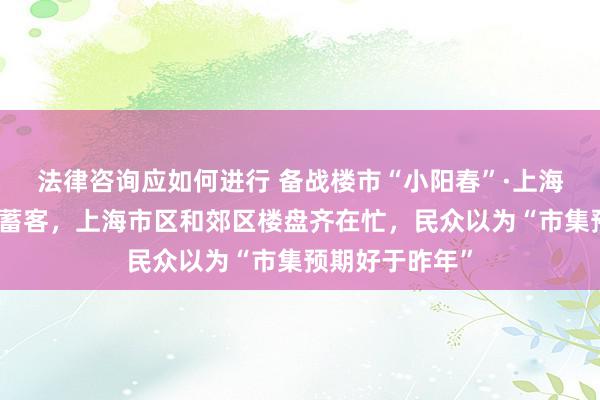 法律咨询应如何进行 备战楼市“小阳春”·上海︱开发商加力蓄客，上海市区和郊区楼盘齐在忙，民众以为“市集预期好于昨年”