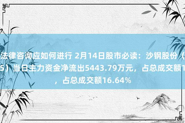 法律咨询应如何进行 2月14日股市必读：沙钢股份（002075）当日主力资金净流出5443.79万元，占总成交额16.64%