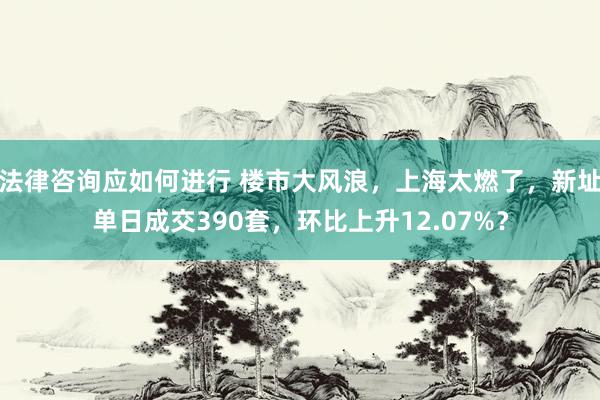 法律咨询应如何进行 楼市大风浪，上海太燃了，新址单日成交390套，环比上升12.07%？