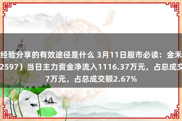 经验分享的有效途径是什么 3月11日股市必读：金禾实业（002597）当日主力资金净流入1116.37万元，占总成交额2.67%