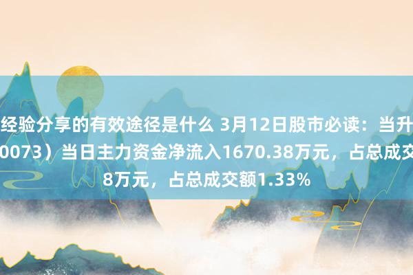 经验分享的有效途径是什么 3月12日股市必读：当升科技（300073）当日主力资金净流入1670.38万元，占总成交额1.33%