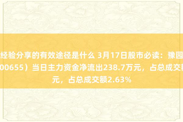 经验分享的有效途径是什么 3月17日股市必读：豫园股份（600655）当日主力资金净流出238.7万元，占总成交额2.63%